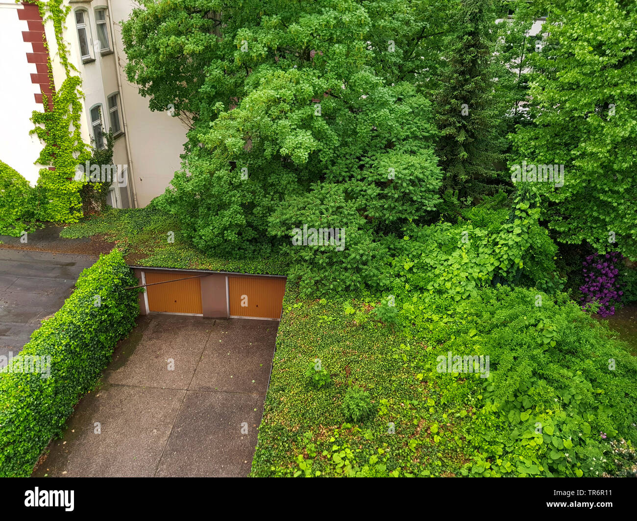 green and overgrown garage roofs, Germany Stock Photo