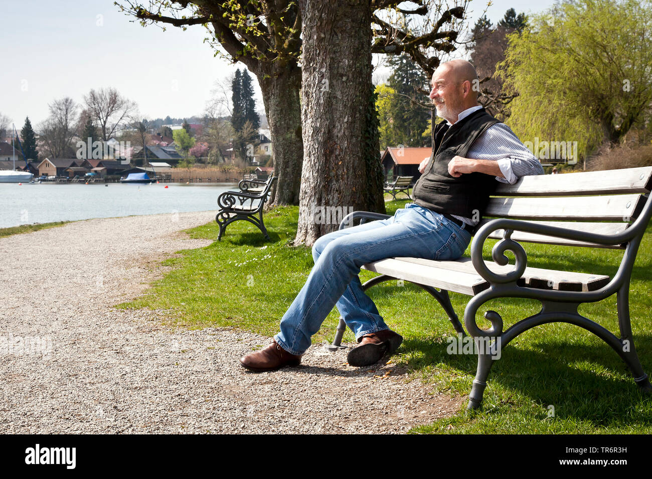 old man with a grey beard on a park bench, Germany Stock Photo - Alamy