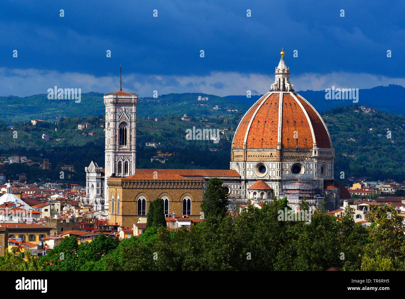 view from Boboli Gardens to Florence Cathedral and Giotto's Campanile, Italy, Florence Stock Photo