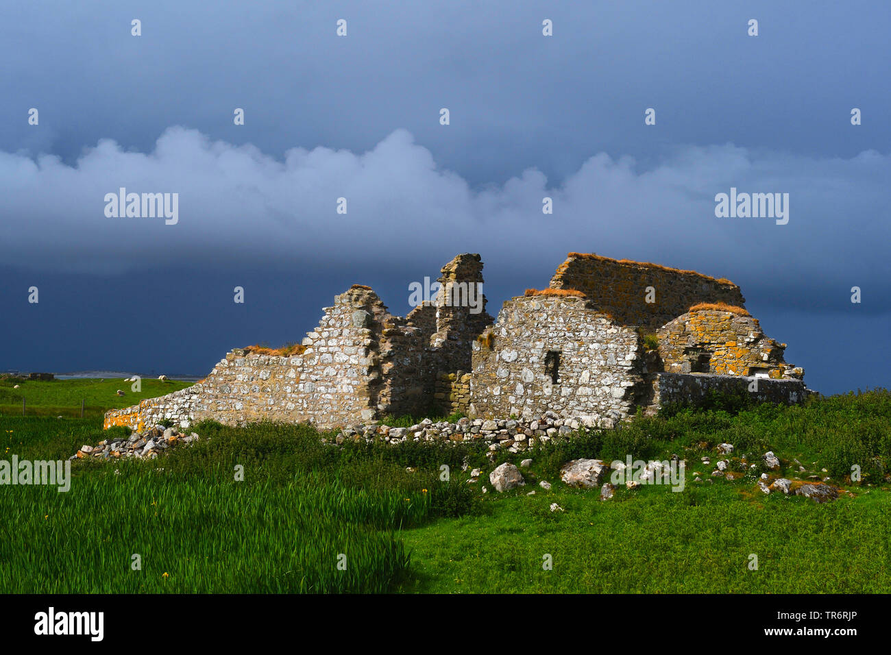 the ruins of Teampull na Trionaid, Trinity church, United Kingdom, Scotland, North Uist, Carinish Stock Photo
