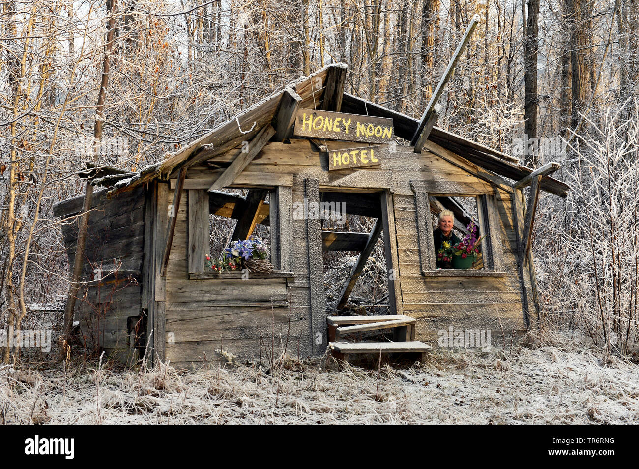 old woman in a rotten wooden hut with the label Hone Moon hotel, USA,  Alaska, Haines Alaska Chilkoot River, MR=Yes Stock Photo - Alamy