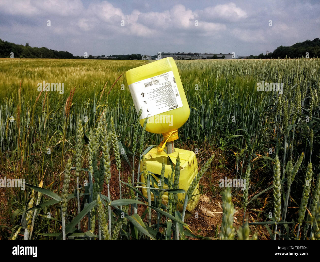 herbice containers in cornfield, Germany, North Rhine-Westphalia Stock Photo