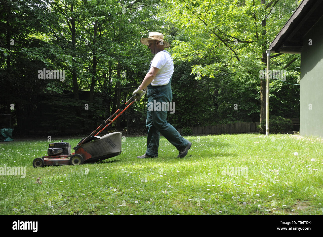 gardener mowing the lawn, Germany, North Rhine-Westphalia Stock Photo