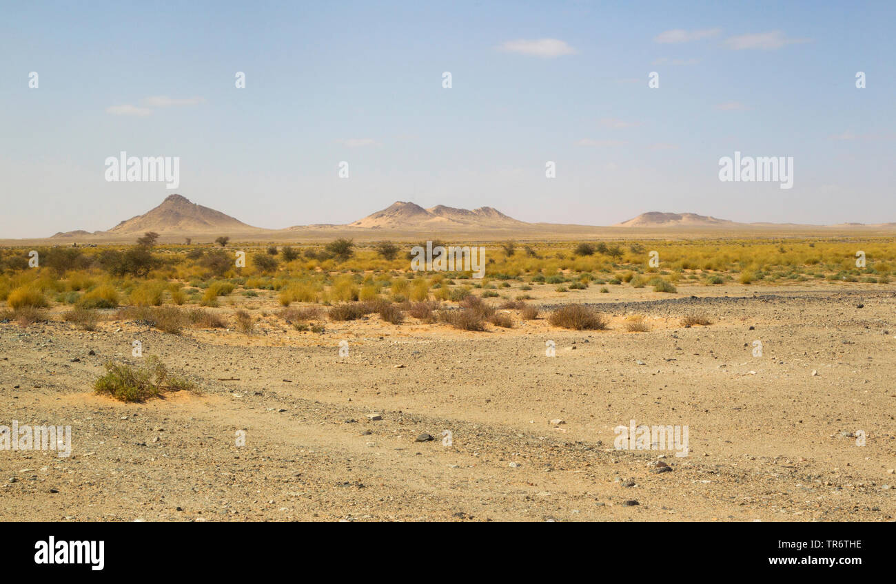 Semi desert near Aousserd, Morocco, Western Sahara Stock Photo
