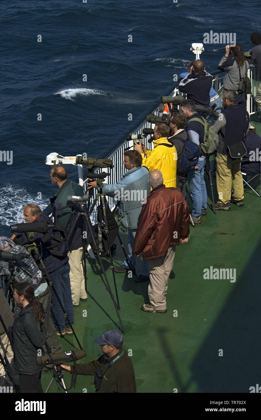 Birders on deck of the Pride of Bilbao, France, Bay of Biscay Stock Photo