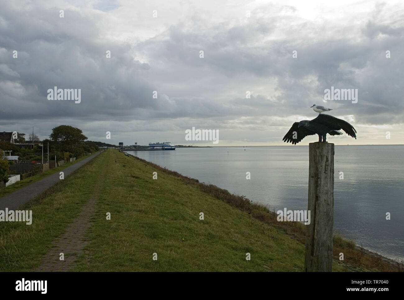 black-headed gull (Larus ridibundus, Chroicocephalus ridibundus), sitting on a bird sculpture, Netherlands, Vlieland, Waddendijk Stock Photo