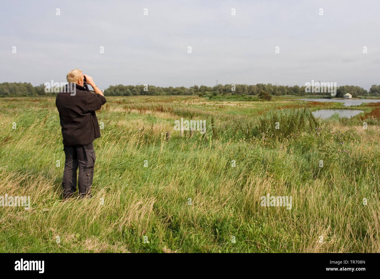 Birdwatcher in Flevopolder, Netherlands Stock Photo