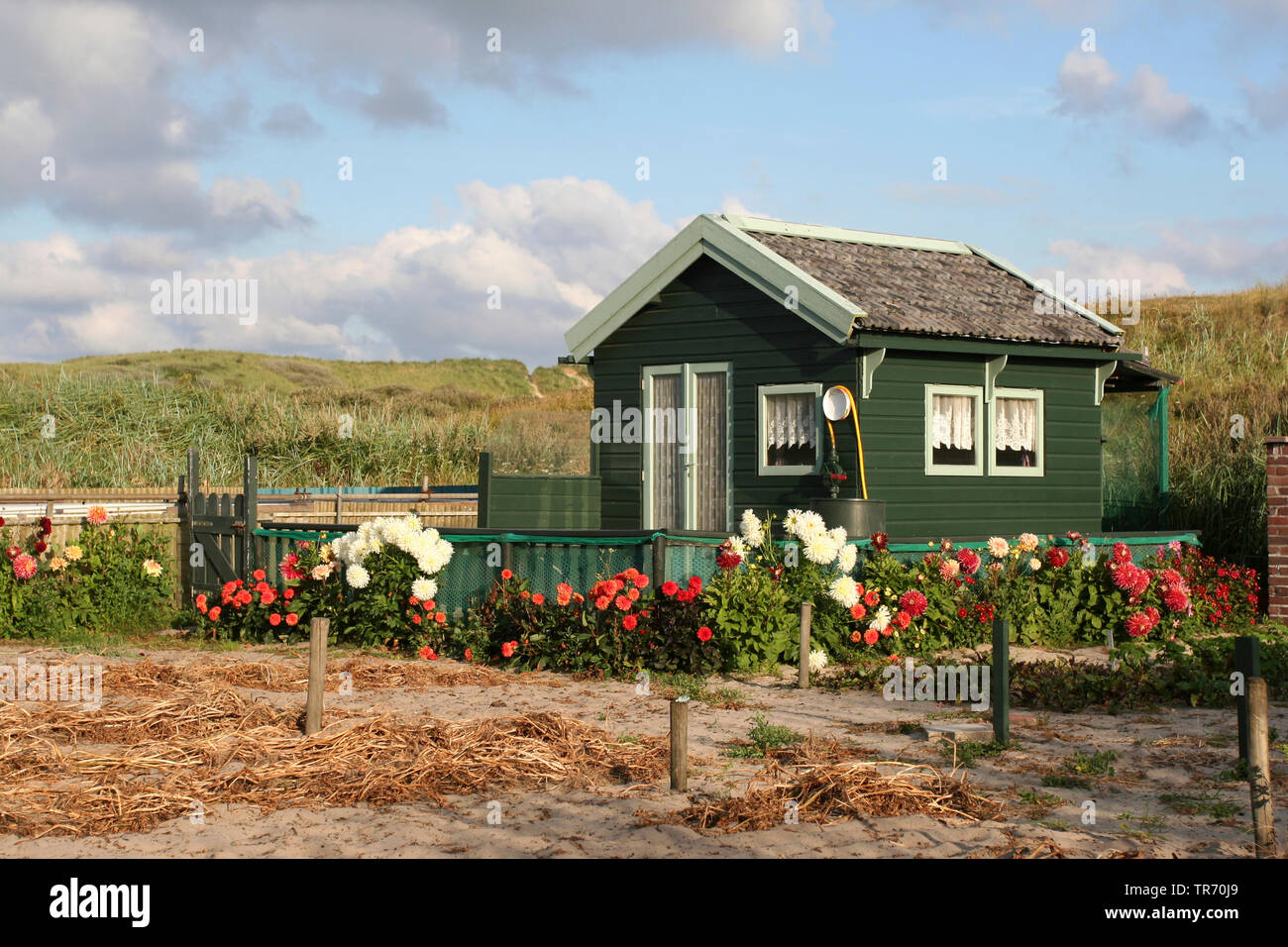 wooden house in the coastal dunes of village Egmond aan Zee, Netherlands, Egmond aan Zee Stock
