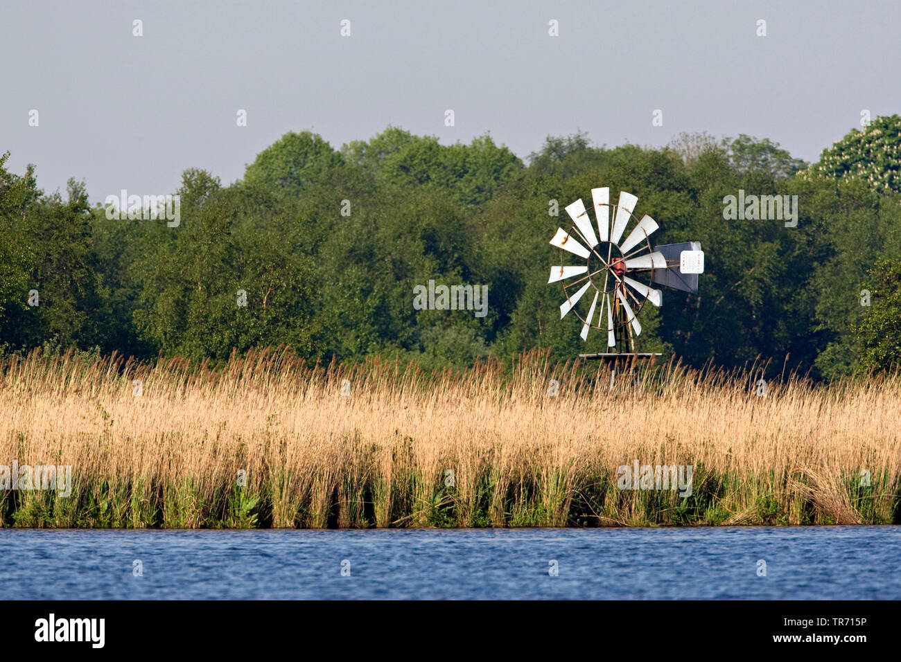 Rottige Meente, wind mill, Netherlands, Frisia Stock Photo