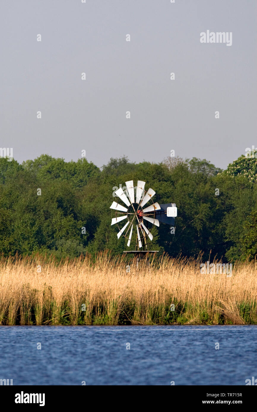 Rottige Meente, wind mill, Netherlands, Frisia Stock Photo