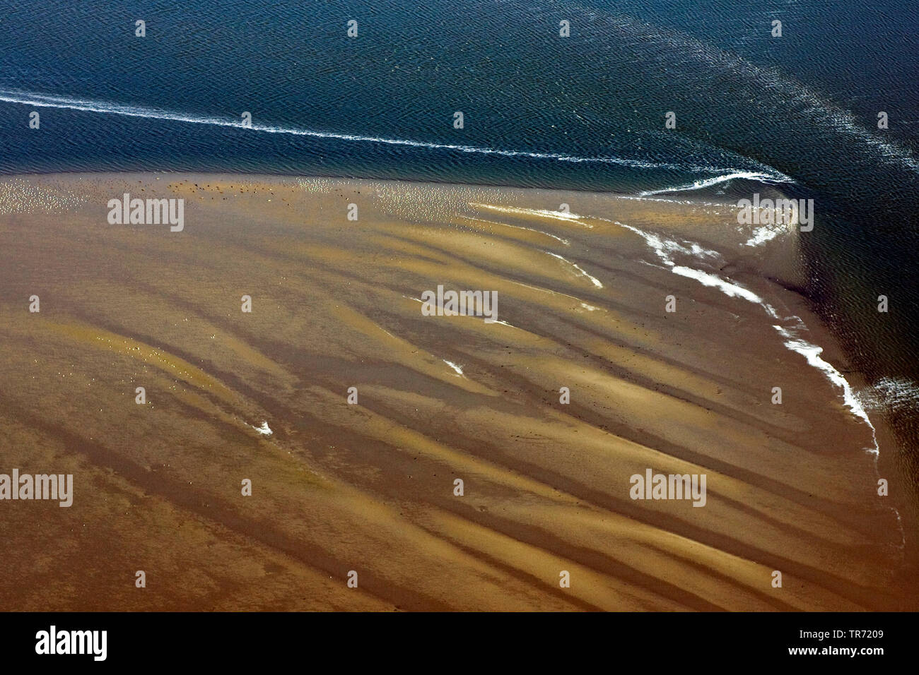 Sandbar in the Wadden Sea, Netherlands Stock Photo
