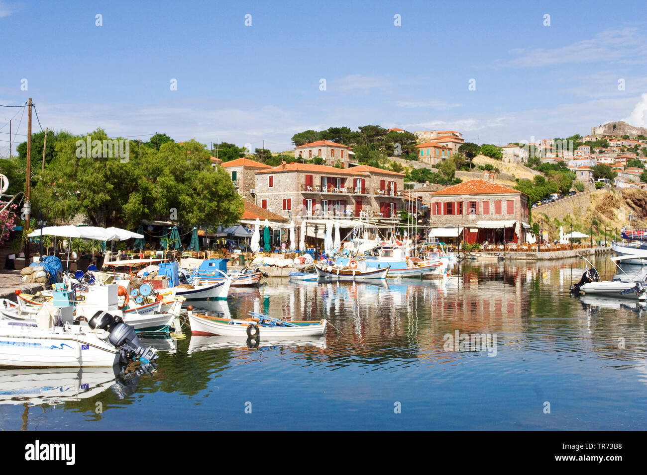 Molivos on Lesvos, harbour, Greece, Lesbos, Molivos Stock Photo