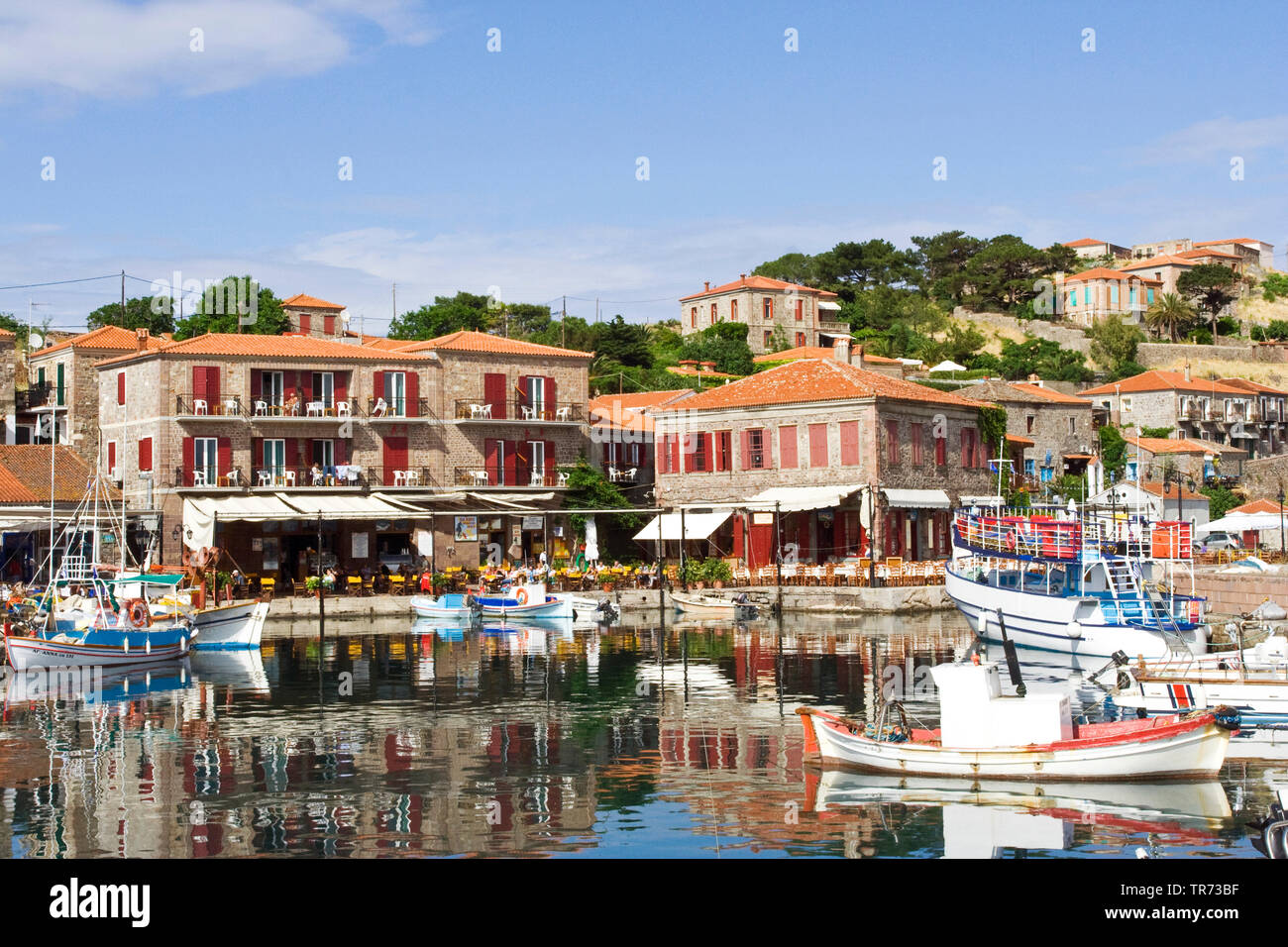 Molivos on Lesvos, harbour, Greece, Lesbos, Molivos Stock Photo