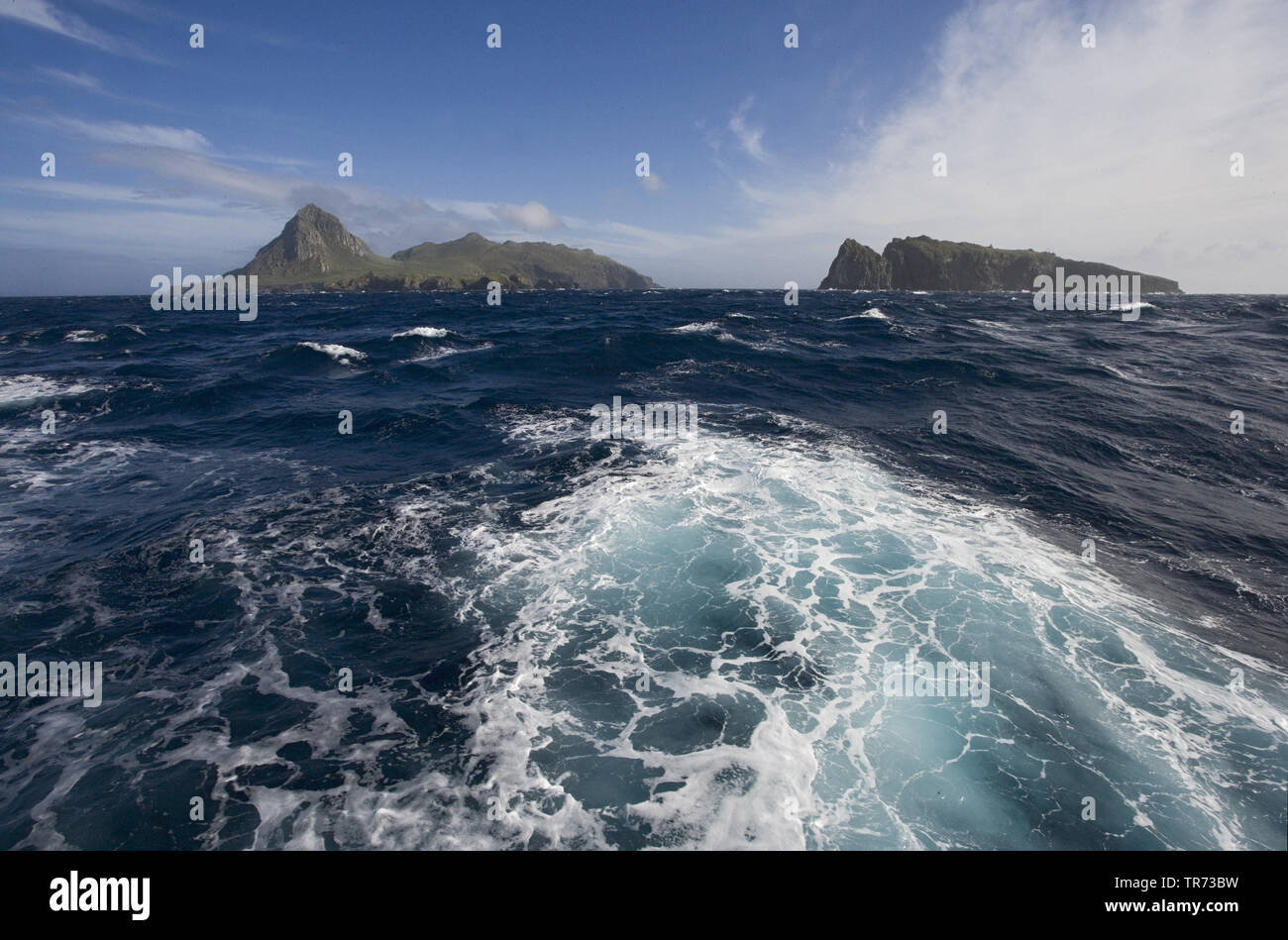 Nightingale Island, Tristan Archipel, Tristan da Cunha Stock Photo