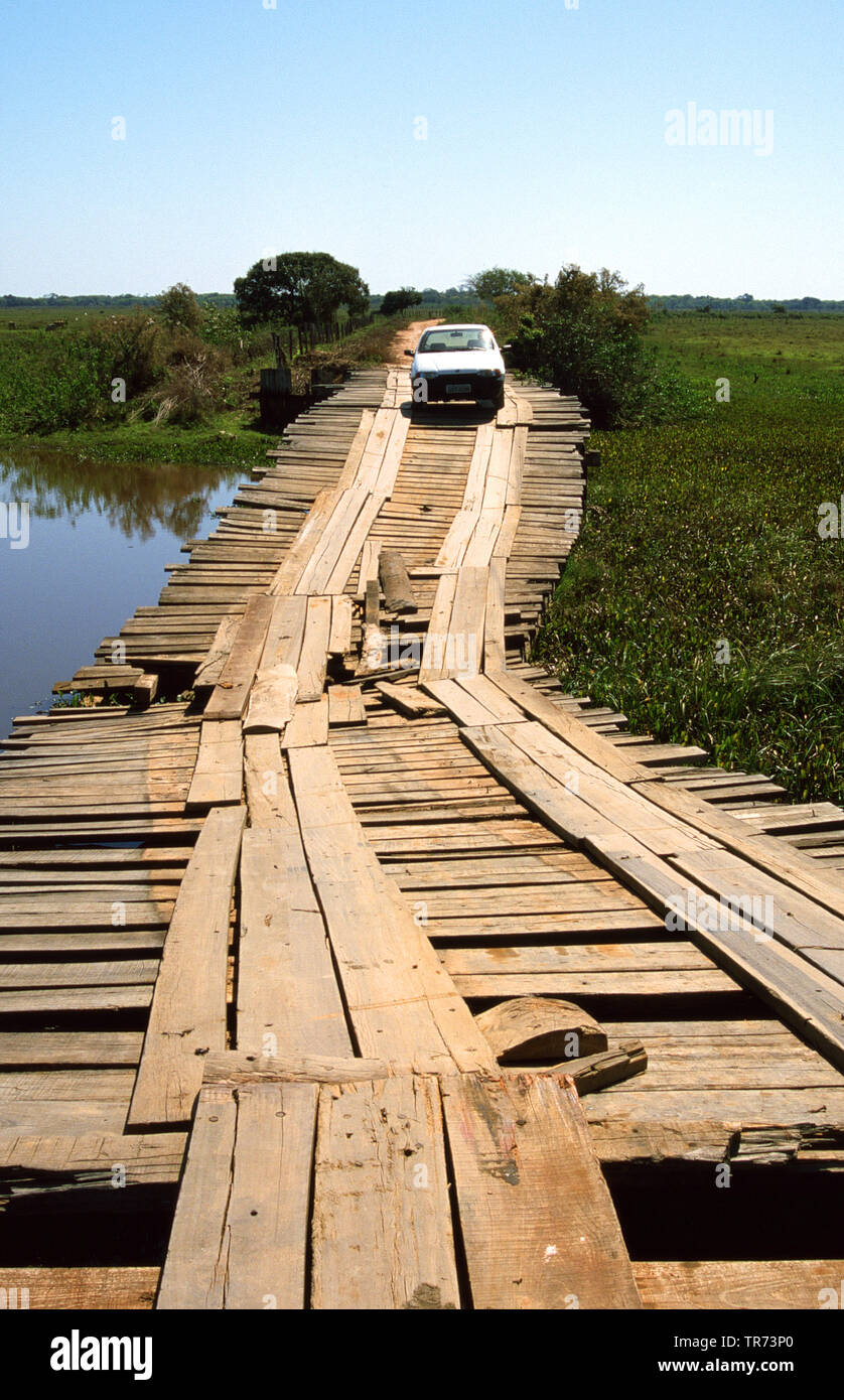 Transpantaneira Pantanal Brazil Pantanal Stock Photo Alamy transpantaneira-pantanal-brazil-pantanal-stock-photo-alamy