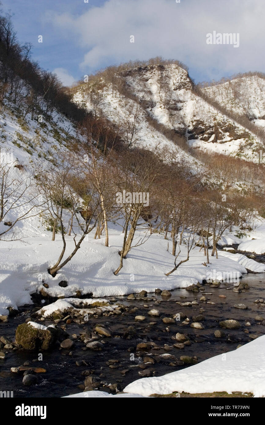 Stream at Rausu in winter, Japan, Hokkaido Stock Photo