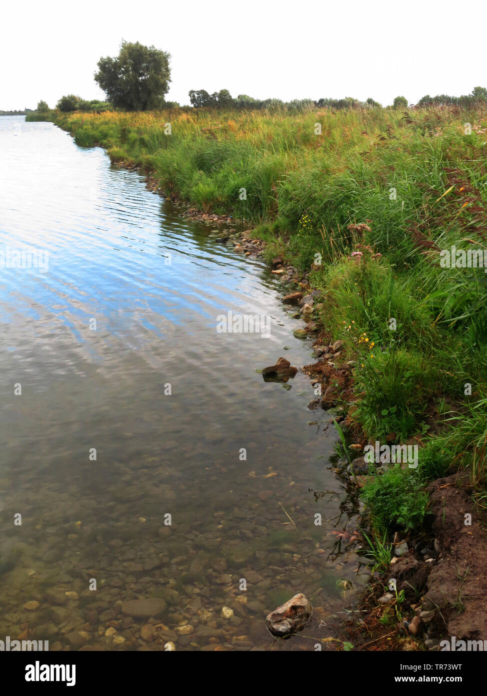 Reeuwijkse Plassen Netherlands Reeuwijkse Plassen Reeuwijk Stock Photo Alamy