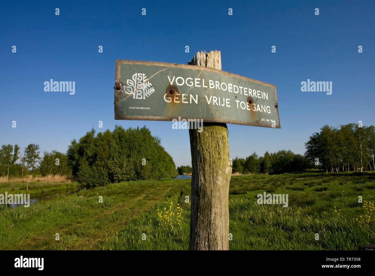 Nature reserve Rottige Meente, Netherlands Stock Photo