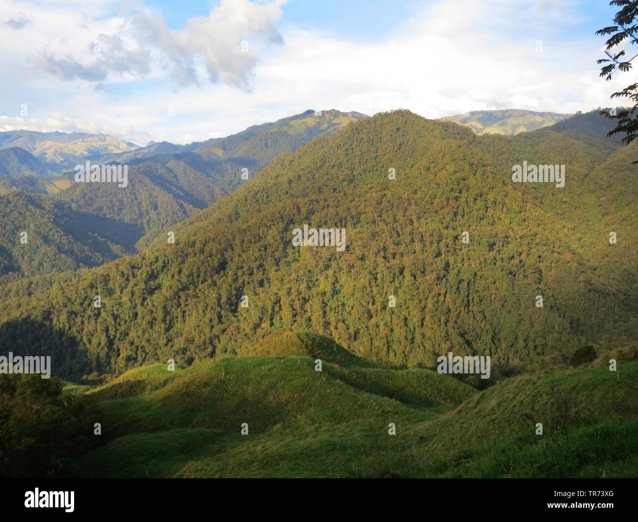 landscape in RÝo Blanco Nature Reserve , Colombia, Andes, RÝo Blanco Nature Reserve, Manizales Stock Photo