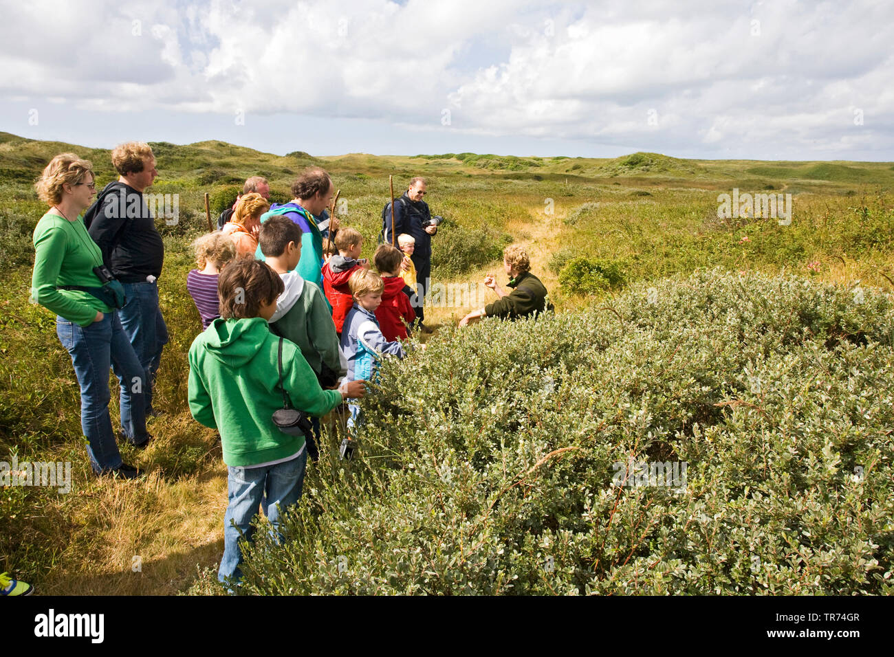 excursion Gruppe in dunes, Netherlands, Texel, Duinen van Texel National Park Stock Photo
