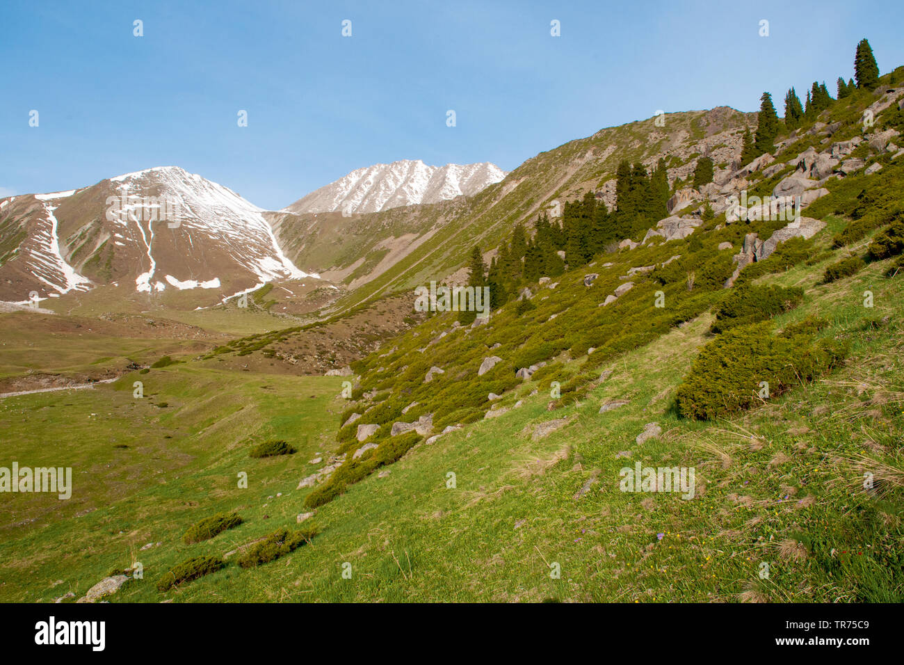 Alpine meadows and mountain slopes, Kazakhstan Stock Photo