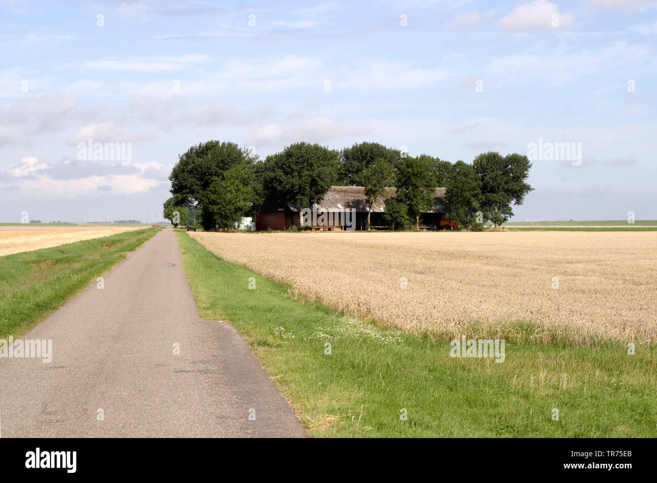 farmhouse, Netherlands Stock Photo