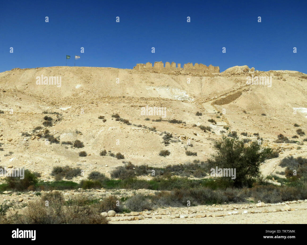 Ancient Nabataean city, Nizzana fortress, Israel, Negev, Nitzana Stock Photo