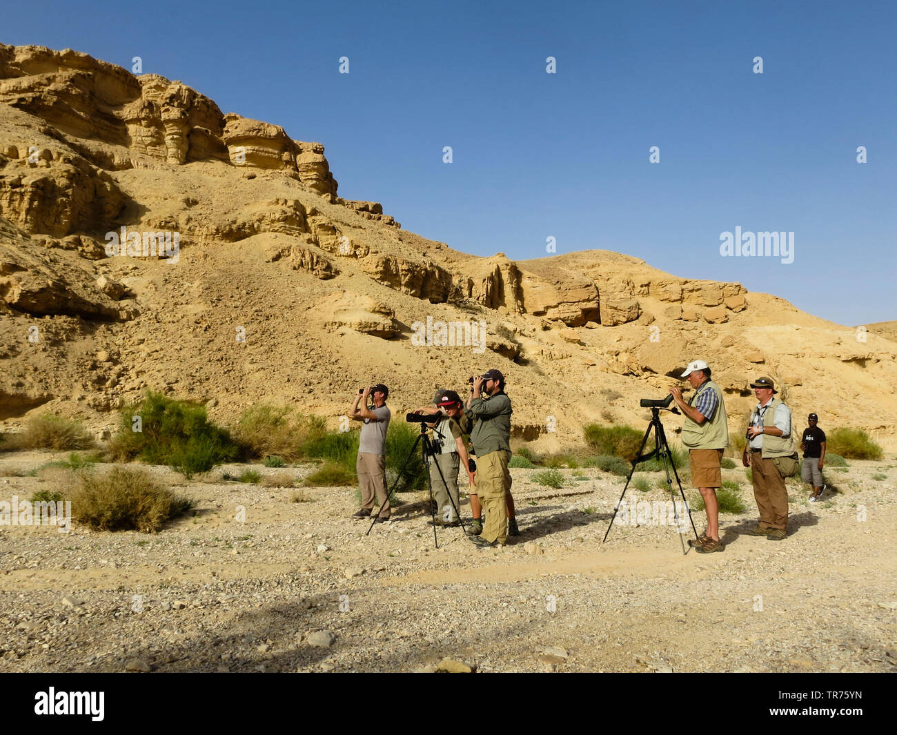 Group of birdwatchers with binoculars and stethoscopes in desert, Israel, Negev Stock Photo