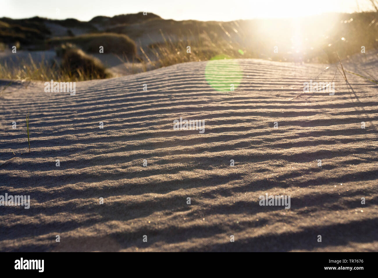 Patterns in sand, Netherlands, South Holland, Zuidduinen Stock Photo