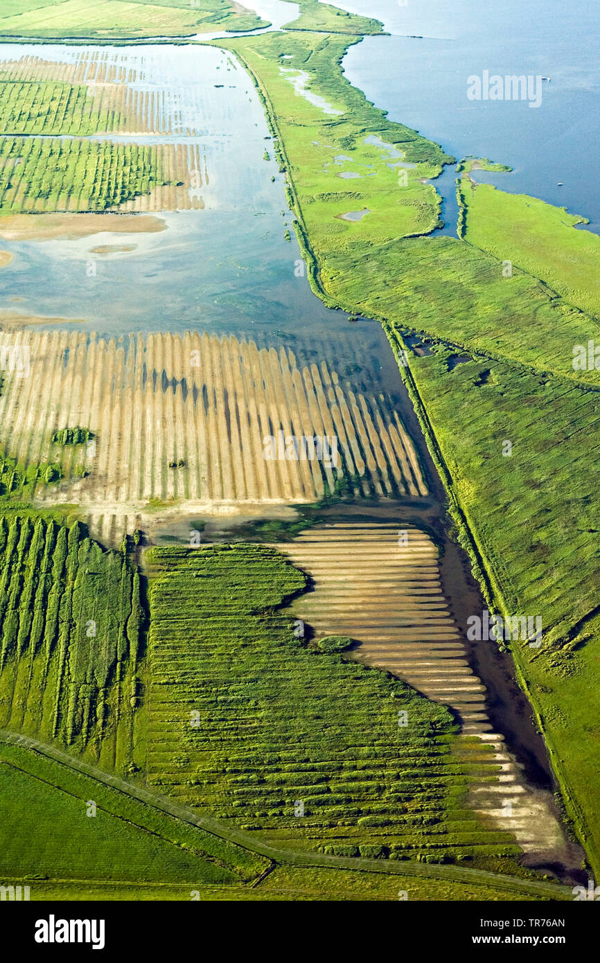 coastal landscape at the North Sea, aerial photo, Netherlands Stock ...