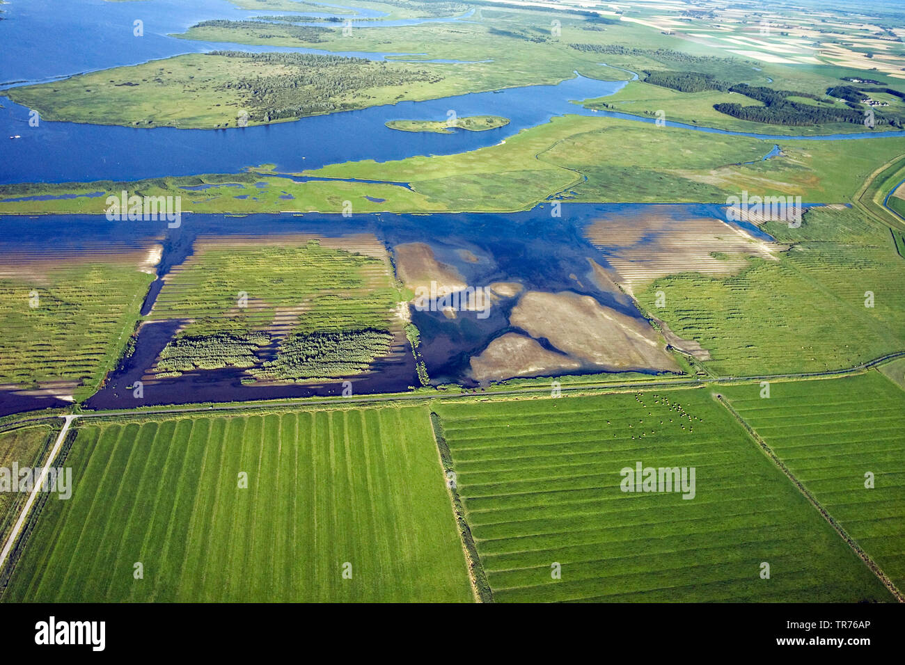 coastal landscape at the North Sea, aerial photo, Netherlands Stock ...