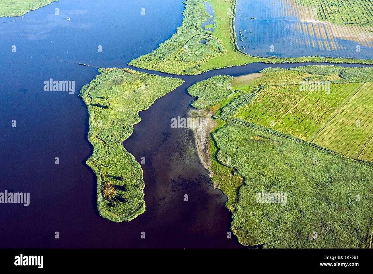 coastal landscape at the North Sea, aerial photo, Netherlands Stock ...