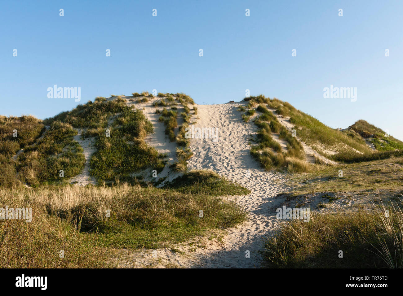 Walking path in dunes at Schiermonnikoog, Netherlands, Schiermonnikoog Stock Photo