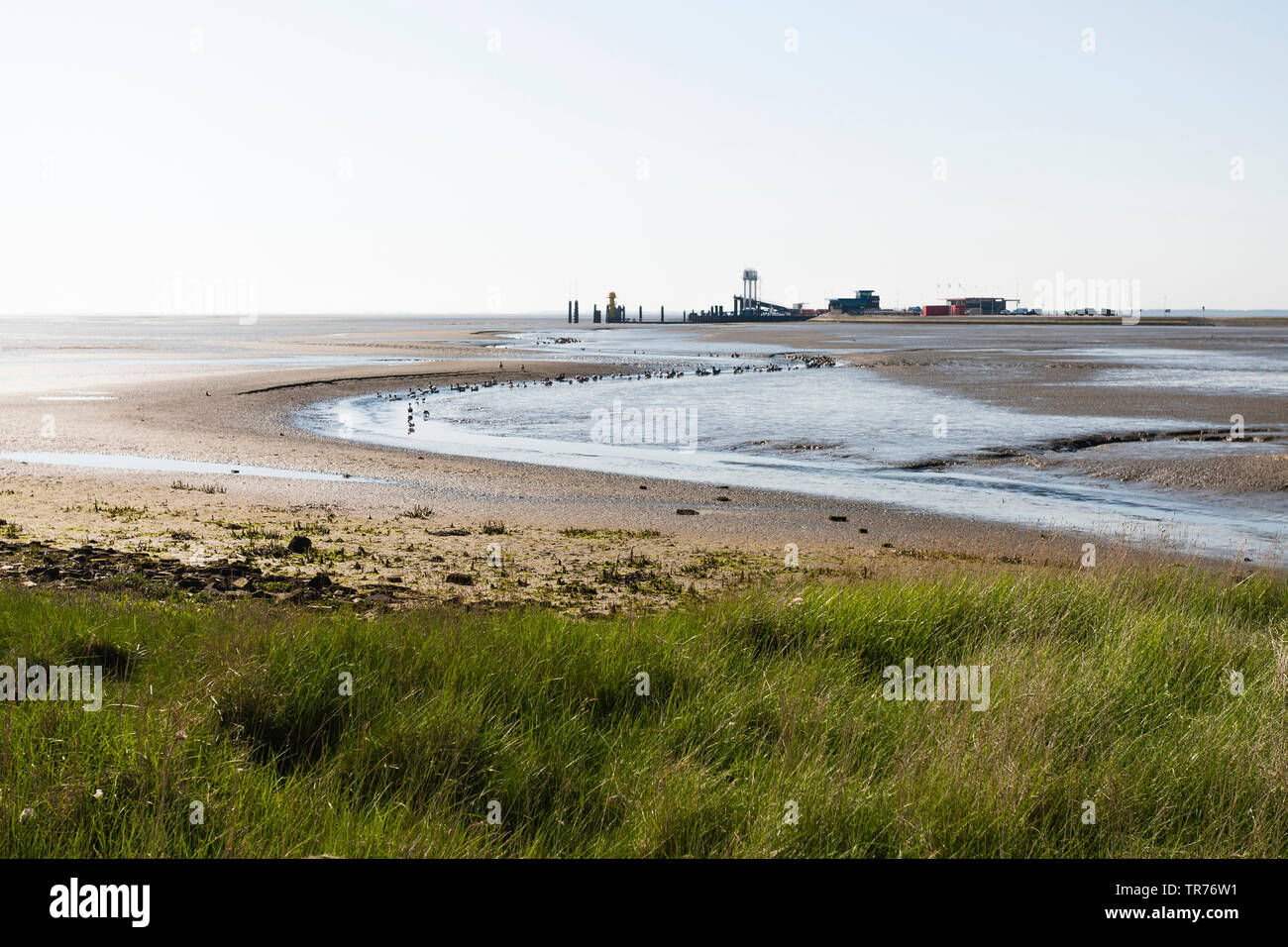 Port at Schiermonnikoog, Netherlands, Schiermonnikoog Stock Photo