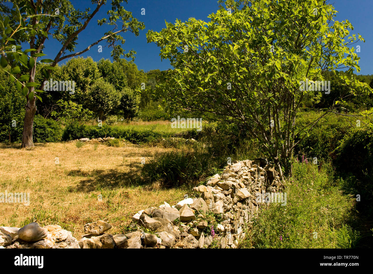 Stone wall in Cevennen, France, CÚvennes Stock Photo