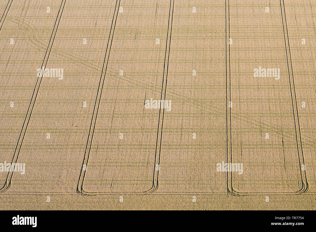 monotone field landscape in North Holland, aerial view, Netherlands, Northern Netherlands Stock Photo