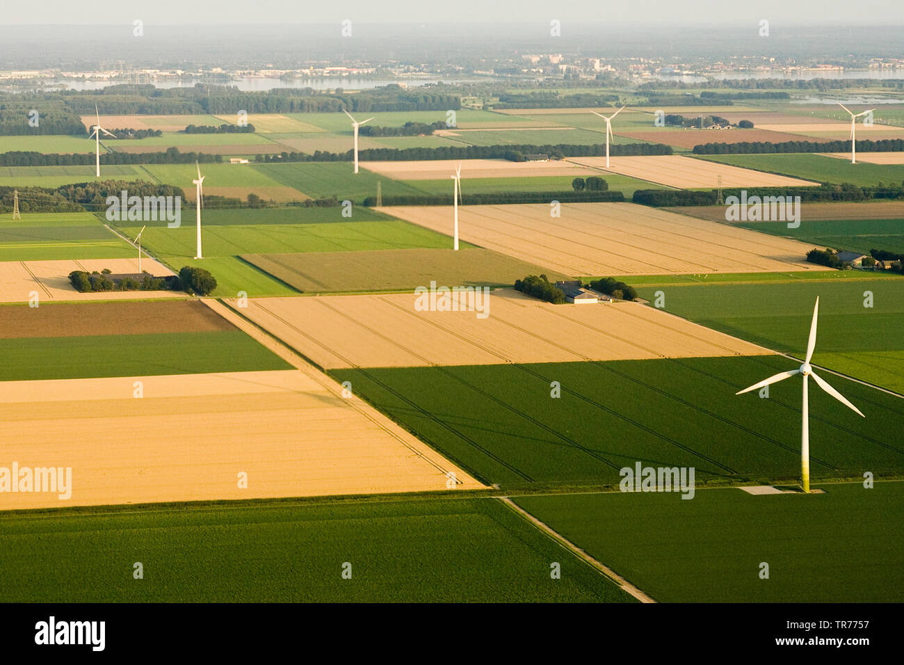 monotone field landscape in North Holland, aerial view, Netherlands, Northern Netherlands Stock Photo