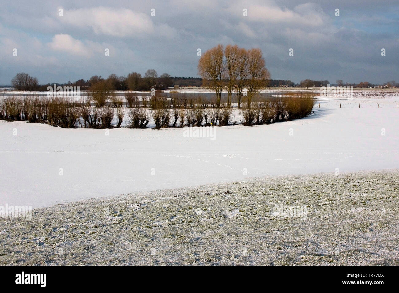 The IJssel in winter, Netherlands Stock Photo