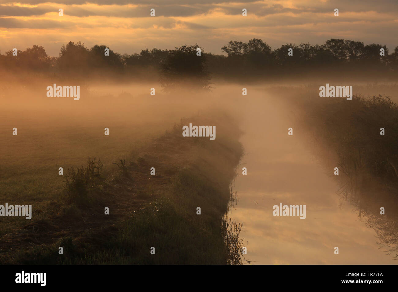 De Olde Maten in morning mist, Netherlands Stock Photo