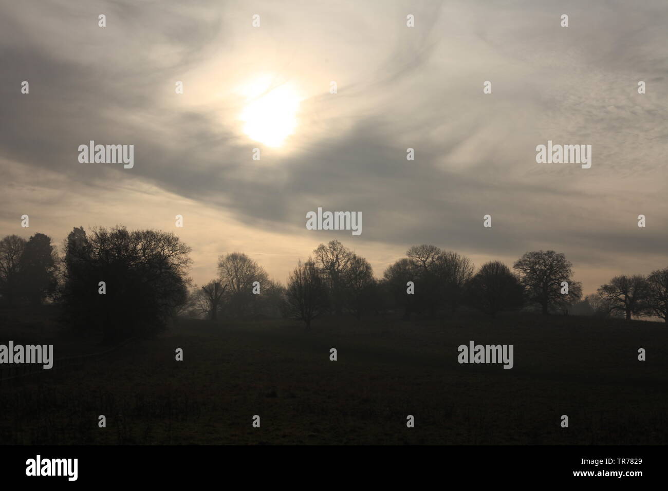 Essex Travel News & Weather - Turbulent cloud cover over woodland, Essex, Britain. Stock Photo