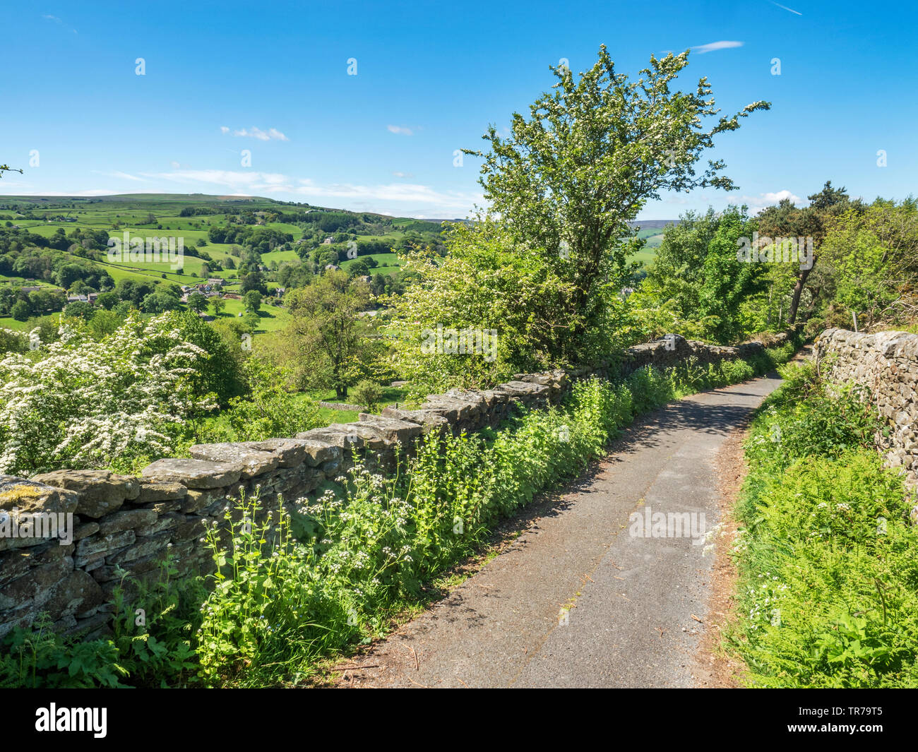 View across Nidderdale to Guise Cliff from the Panorama Walk at Pateley