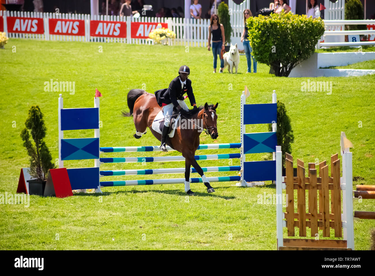 Johannesburg, South Africa October 08 2011 Equestrian Show Jumping