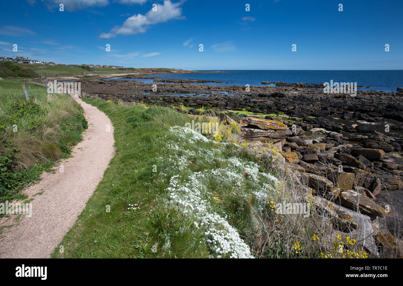 Town of Crail, Scotland. Picturesque view of the Fife Coastal Path at