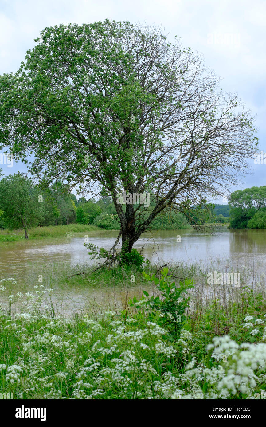 small river overflows after a period of prolonged heavy rain flooding the surrounding fields and meadows zala county hungary Stock Photo