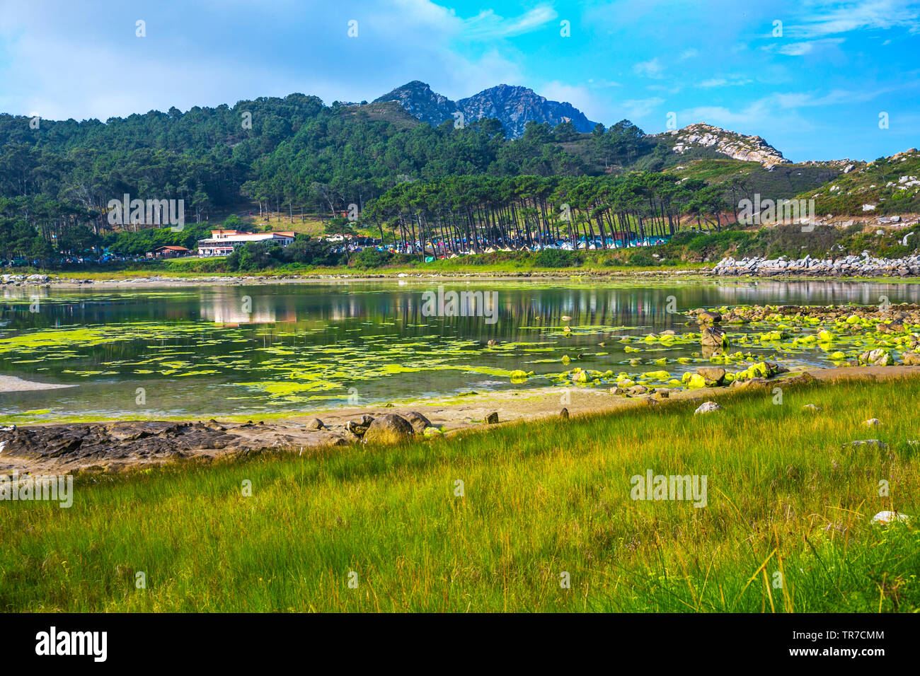 Cies Islands. Atlantic Islands of Galicia National Park. Vigo estuary. Rias Baixas. Pontevedra province. Galicia. Spain Stock Photo