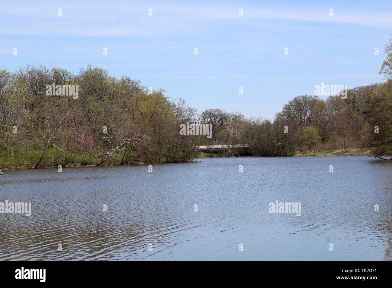 A beautiful sunny springtime day at the park in southwest Ohio. Stock Photo