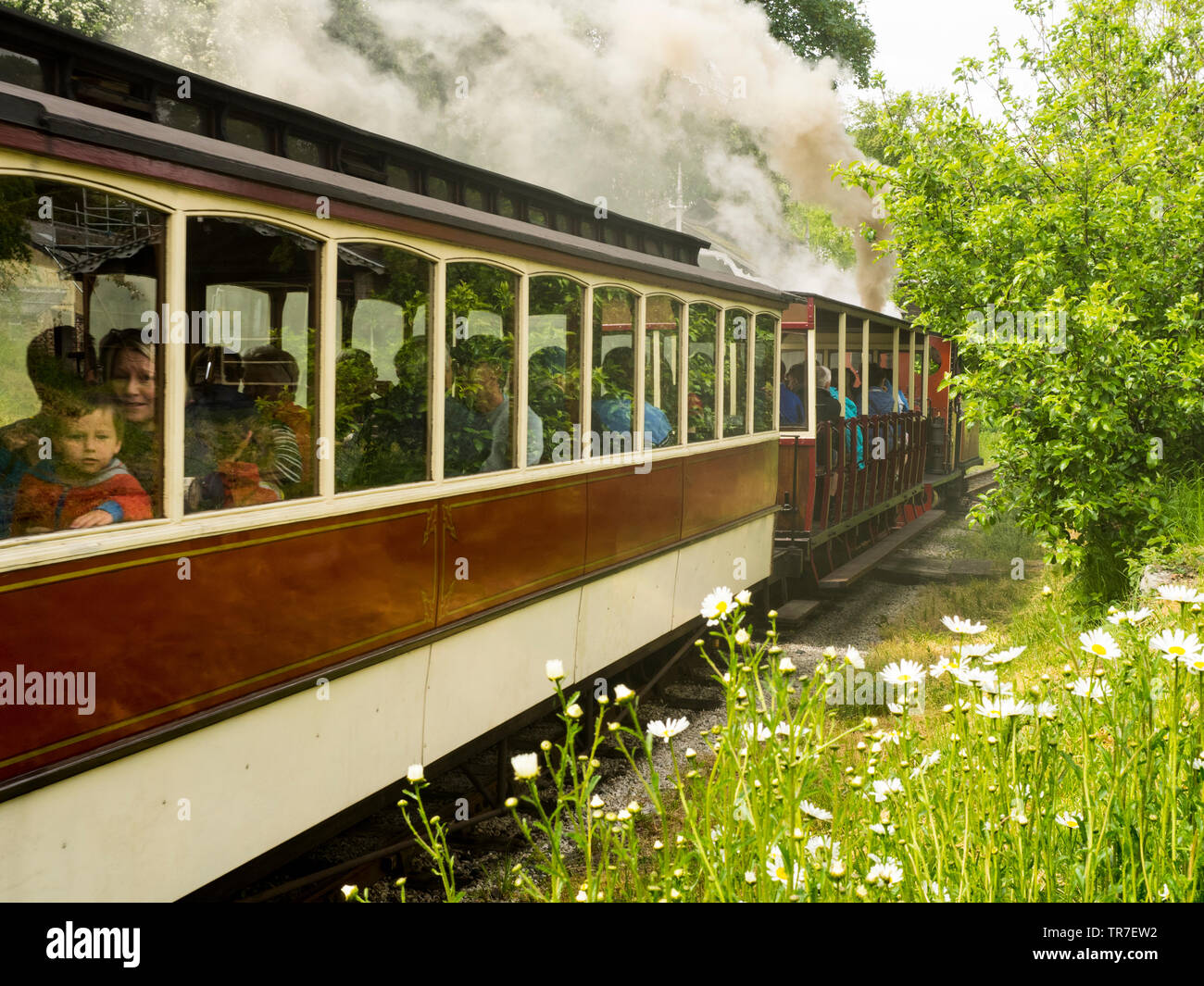 Launceston Steam Railway, Cornwall, UK Stock Photo