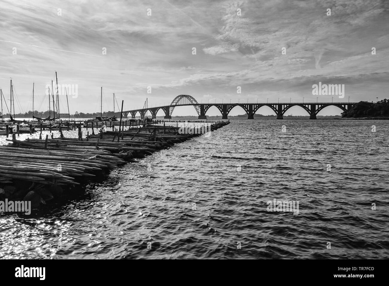 Monochrome panoramic picture of the famous bridge of Moen in Denmark with stakes of wood in the foreground Stock Photo
