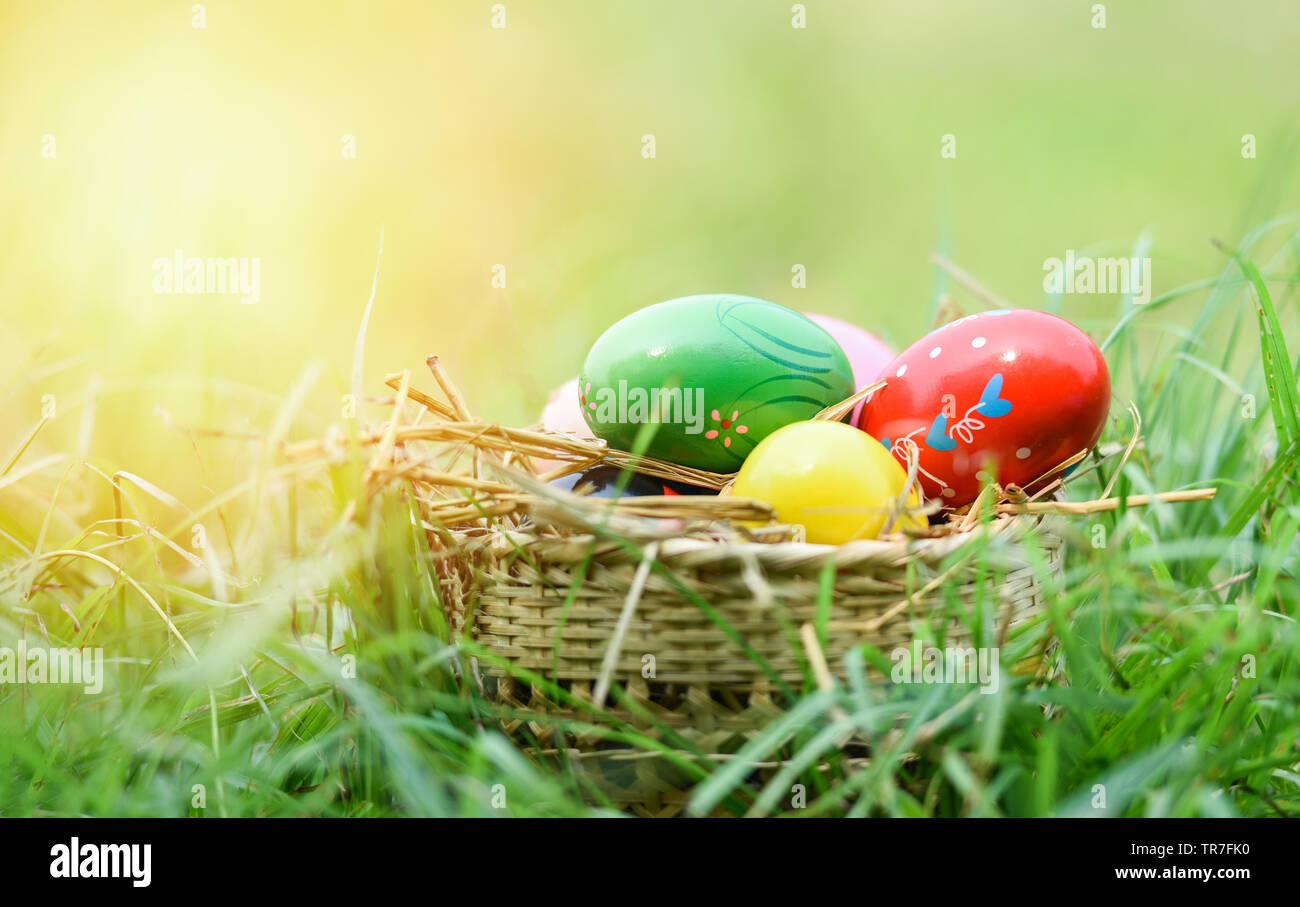 Easter eggs hunt on green grass outdoor / Basket nest with colorful egg ...