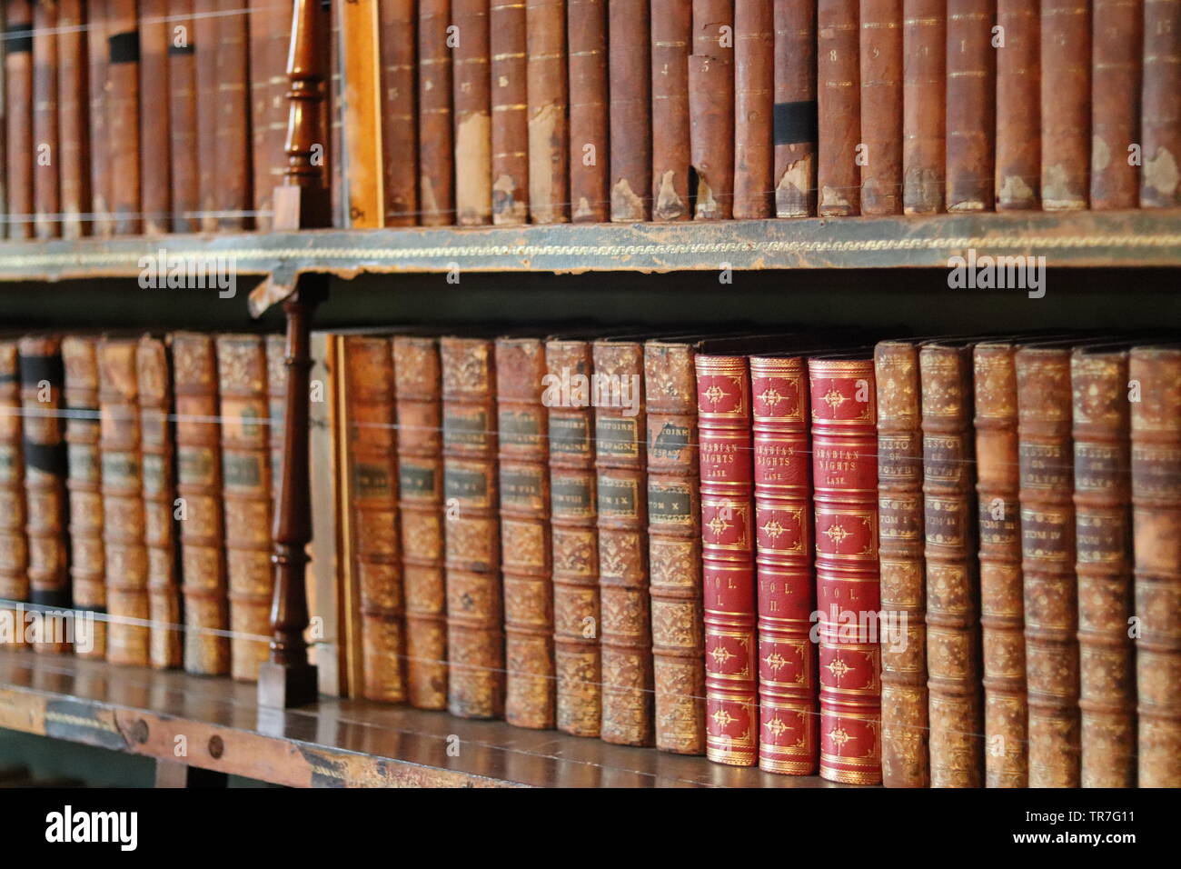 Photograph of library of vintage books taken at Brodsworth Hall located